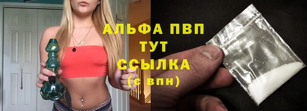 сатива Балахна