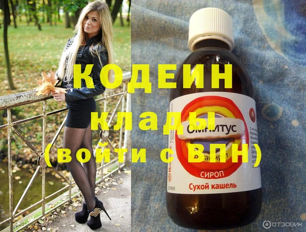 прущий лед Богданович