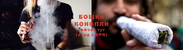 прущий лед Богданович