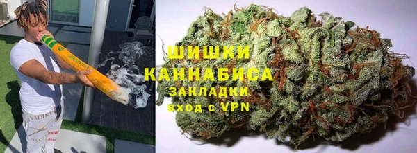 прущий лед Богданович