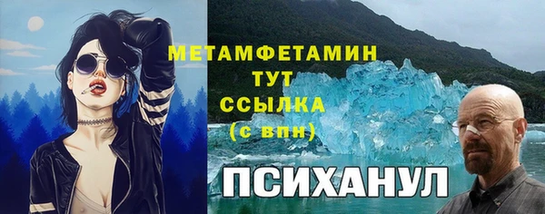 прущий лед Богданович