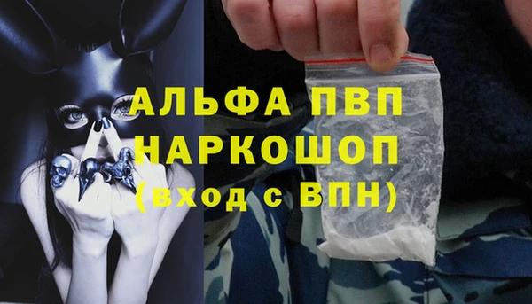 прущий лед Богданович