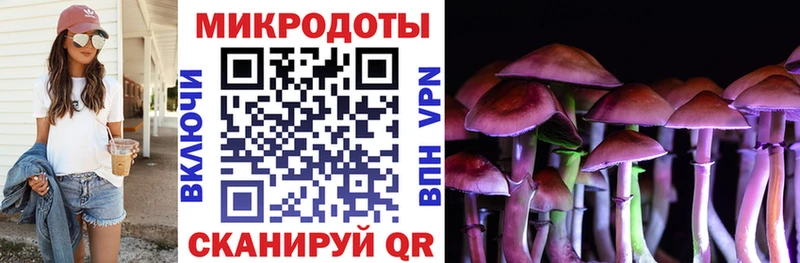 цены   Высоцк  Псилоцибиновые грибы GOLDEN TEACHER 